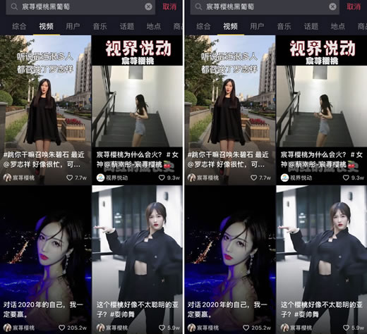 宸荨樱桃真名叫什么?宸荨樱桃黑葡萄始末及怎么火的 宸荨樱桃真名叫什么?宸荨樱桃黑葡萄始末及怎么火的