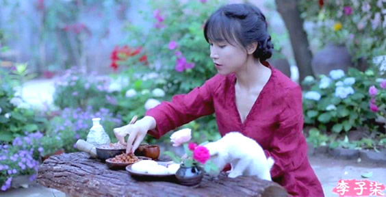 李子柒的详细资料 李子柒成名前干什么的揭晓
