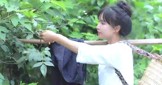 李子柒的详细资料 李子柒成名前干什么的揭晓