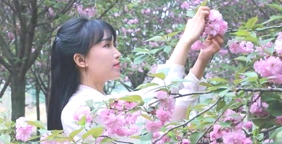 李子柒的详细资料 李子柒成名前干什么的揭晓