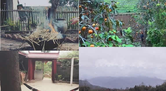 李子柒家的院子全景图 真实场景原来是这样子的