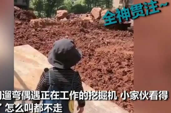 萌娃自带小板凳监工挖掘机 小孩为什么喜欢挖掘机 萌娃自带小板凳监工挖掘机 小孩为什么喜欢挖掘机