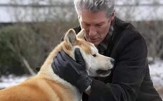 综合10部哭到崩溃的电影 泪点再高也会双眼湿润