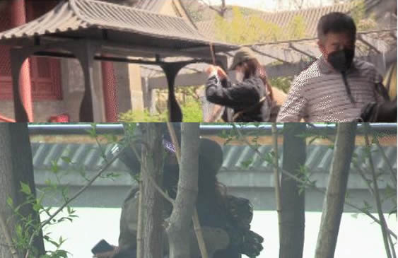 屈楚萧咖喱酱疑曝恋情 女方这回答“锤”的好啊