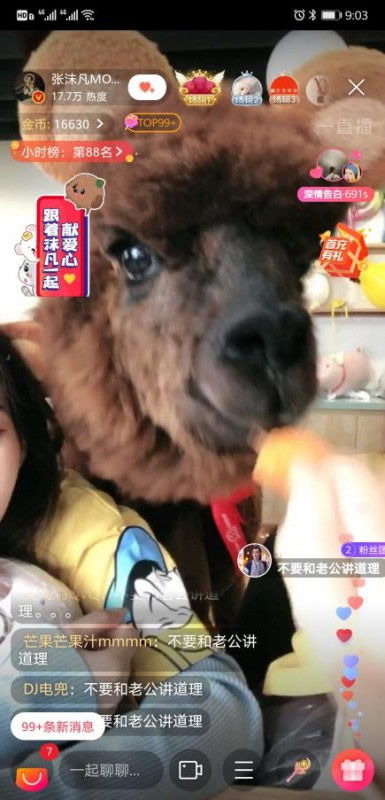 张雨绮“空降”张沫凡直播间 云吸宠物节火爆全网 张雨绮“空降”张沫凡直播间 云吸宠物节火爆全网