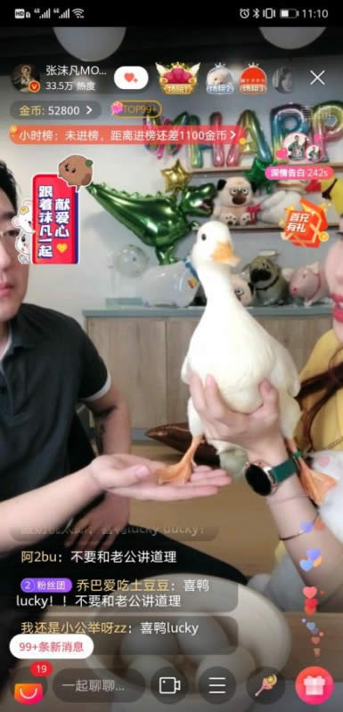 张雨绮“空降”张沫凡直播间 云吸宠物节火爆全网 张雨绮“空降”张沫凡直播间 云吸宠物节火爆全网