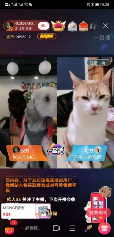 张雨绮“空降”张沫凡直播间 云吸宠物节火爆全网 张雨绮“空降”张沫凡直播间 云吸宠物节火爆全网