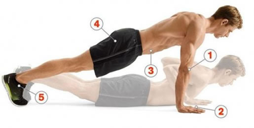 俯卧撑的正确做法 解读6种不同的俯卧撑类型