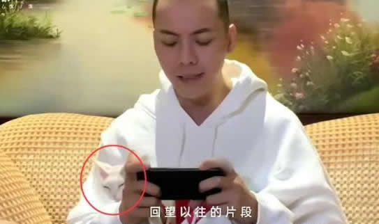 陈伟霆把猫唱睡着了画面软萌治愈 陈伟霆八卦个人资料 陈伟霆把猫唱睡着了画面软萌治愈 陈伟霆八卦个人资料