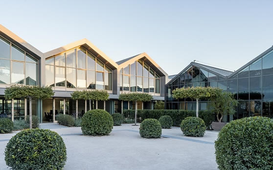 海外小众品牌异军突起,谁才是美肤市场扩容真正良方? 海外小众品牌异军突起,谁才是美肤市场扩容真正良方?