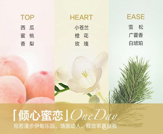 丹姿丝维丽洗发水怎么样 让你夏季头发不油腻