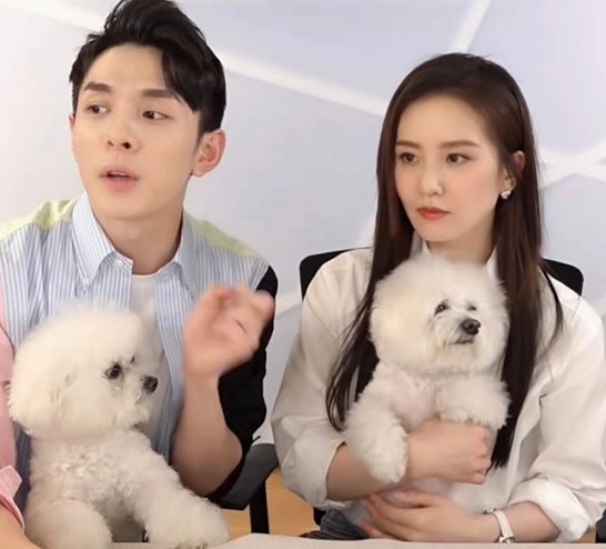 什么洗发水修护效果好 丹姿丝维丽让黑长直也能美出圈 什么洗发水修护效果好 丹姿丝维丽让黑长直也能美出圈