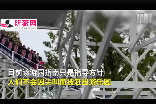 日本建议坐过山车禁止尖叫 防止唾液四处乱飞？