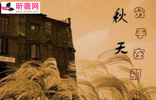 伤心的时候可以听情歌 伤感的情歌12首