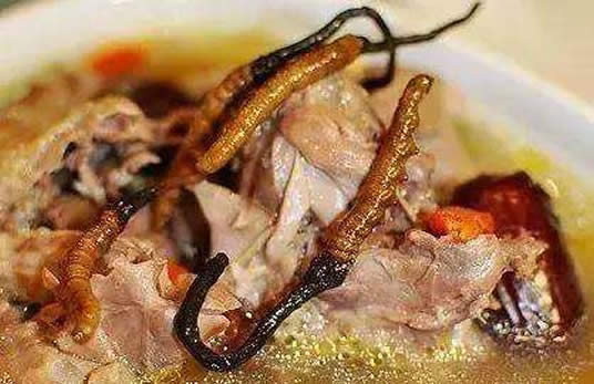 吃虫草到底是虫子还是草（科学解释和传说故事）