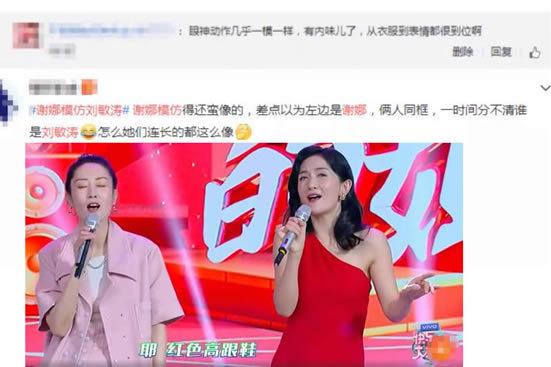 谢娜模仿刘敏涛 画面详情曝光像不像你说了算