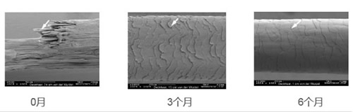 丹姿丝维丽好不好 618洗护新选就是它 丹姿丝维丽好不好 618洗护新选就是它