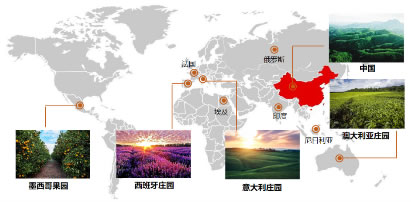 花君子五大治愈系精油为爱上市 花君子五大治愈系精油为爱上市