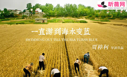 2020十大必看电影国产 2020十大必看电影国产