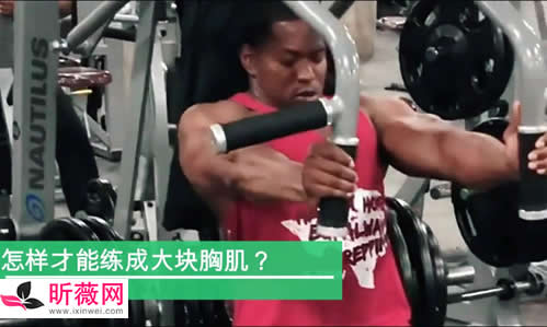 练胸肌的动作 锻炼胸大肌的十个动作 练胸肌的动作 锻炼胸大肌的十个动作