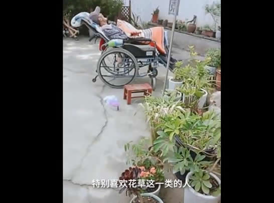 女儿为植物人父亲打造花园 和爸爸一起15年是最幸福的