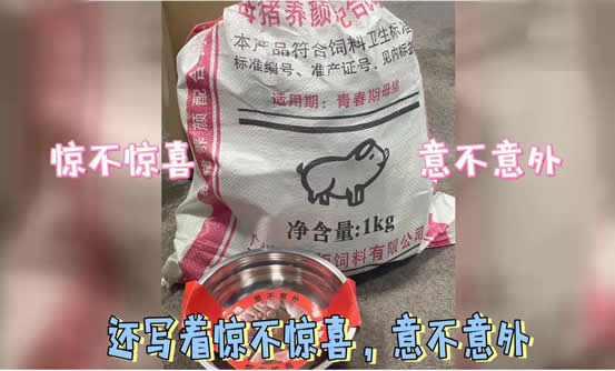 宁静给节目组送猪饲料 真相来了不愧是静静子 宁静给节目组送猪饲料 真相来了不愧是静静子