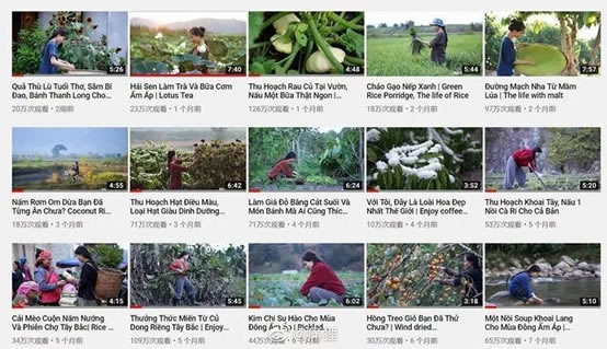 越南博主抄袭李子柒什么情况 东施效颦有图有真相