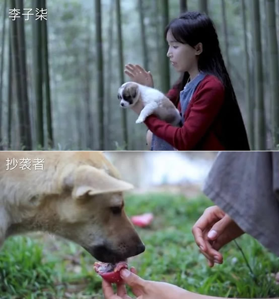 越南博主抄袭李子柒什么情况 东施效颦有图有真相