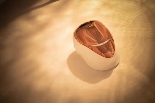 乘风破浪保驾护航，实力ACE CELLRETURN仙利腾