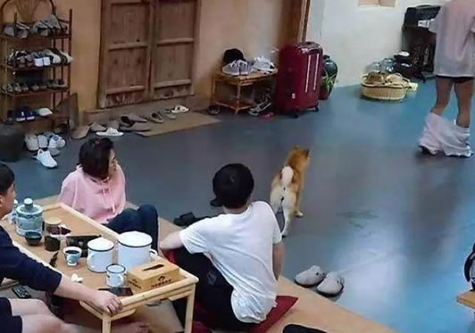 郑恺放屁是什么梗 郑恺一屁成名事件经过令人捧腹 郑恺放屁是什么梗 郑恺一屁成名事件经过令人捧腹