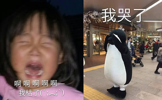 求解抖音99977什么意思梗 女生发99977的意思你要懂 求解抖音99977什么意思梗 女生发99977的意思你要懂