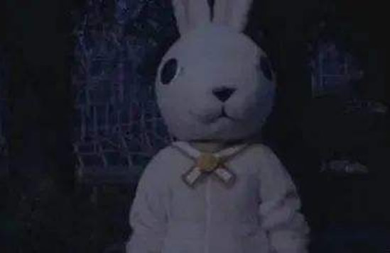 歌曲十只兔子为什么是禁歌 网友臆想故事完整版曝光 歌曲十只兔子为什么是禁歌 网友臆想故事完整版曝光