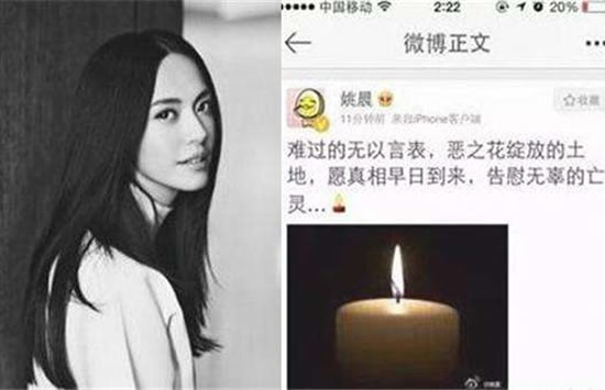 求解恶之花姚晨是什么意思？