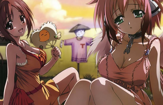 每集都做的动漫有哪些（日漫动漫）