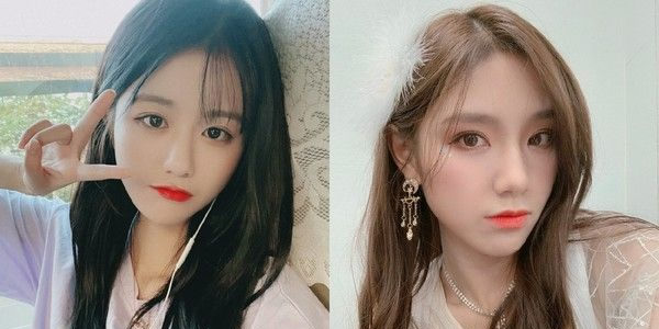 左婧媛为什么是非正式成员