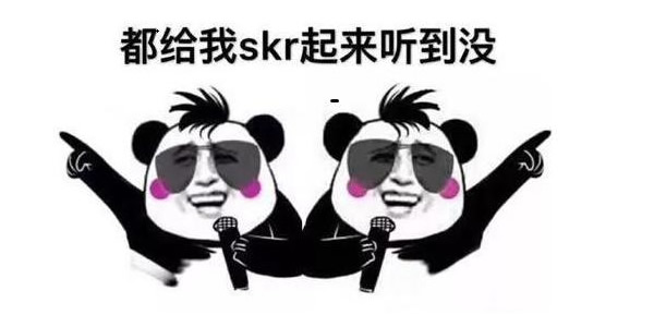 求解Skr意思梗