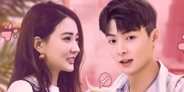 徐璐张铭恩怎么认识的 徐璐张铭恩怎么认识的