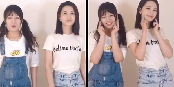 抖音有只小婉是谁