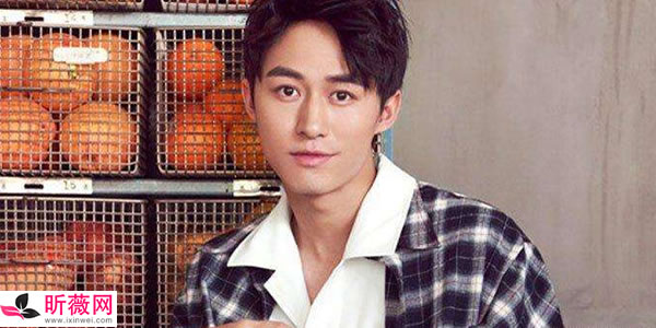 付嘉的老婆叫什么 付嘉的老婆叫什么