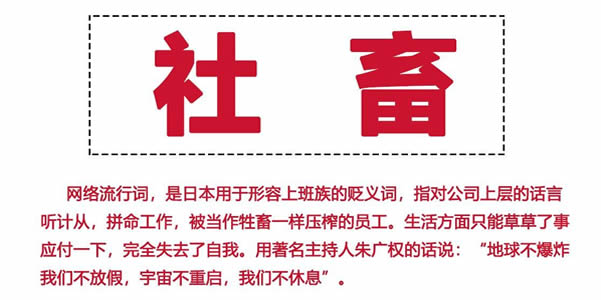 怎么肖战也自称是社畜? 怎么肖战也自称是社畜?
