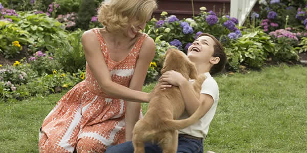 催人泪下的电影6部