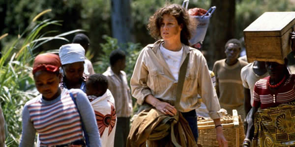 有哪些好看的丛林冒险的电影 有哪些好看的丛林冒险的电影