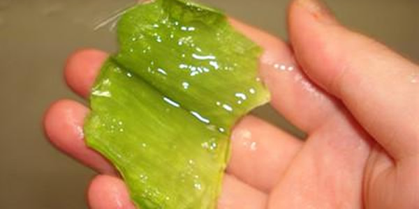 芦荟可以直接涂在脸上吗