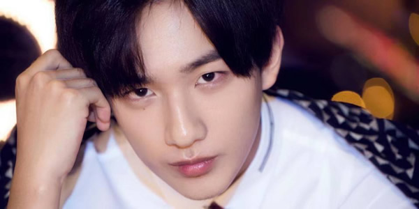 成毅李宏毅什么关系