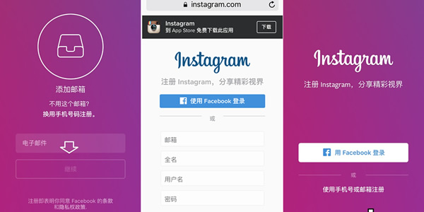 ins是什么意思啊