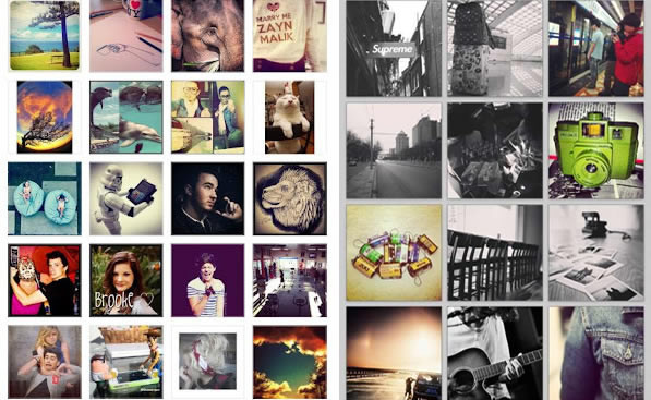 ins是什么意思啊