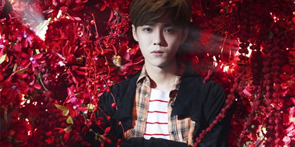 鹿晗在exo是什么担当