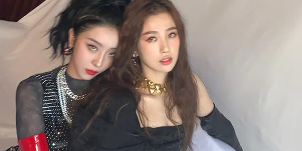 大虞海棠 大虞海棠