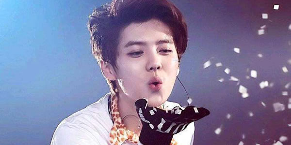 陈数是鹿晗的妈妈吗