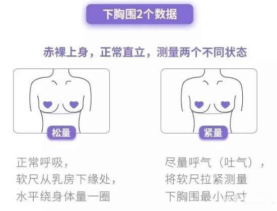 分别测量下面这3个姿势下的数据,最后取平均值,得出你的上胸围数值